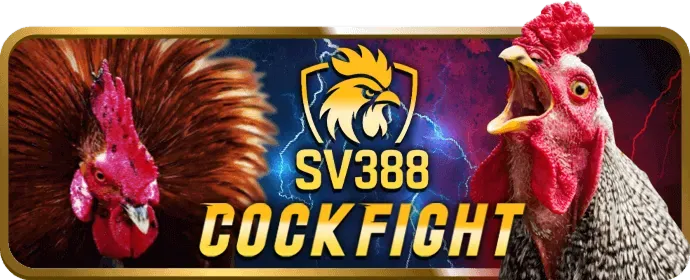 Tổng quan các chương trình khuyến mãi mới nhất của hf88 win